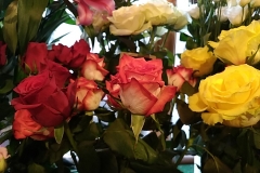 Vágott virágok széles választékban - rózsák mindenféle színben